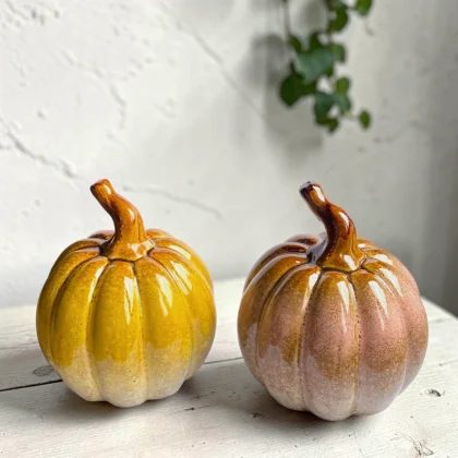 Calabaza cerámica mediana dúo tono (variedades)